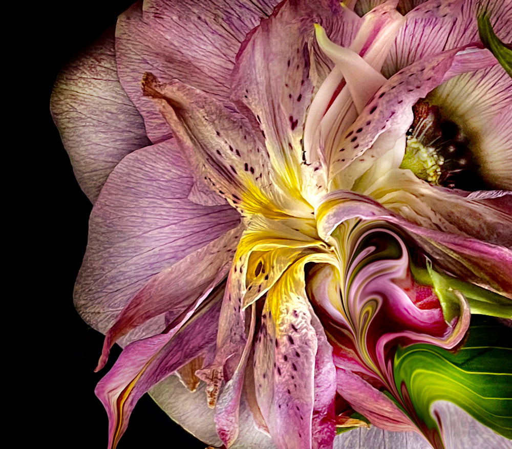 Kaleidoscopic Lily