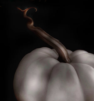 
            
                Load image into Gallery viewer, Ghost Pumpkin
            
        