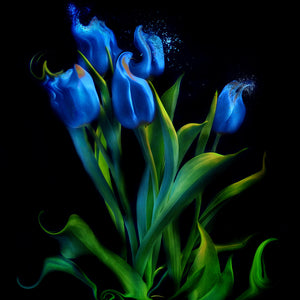 
            
                Load image into Gallery viewer, Blue Tulips
            
        