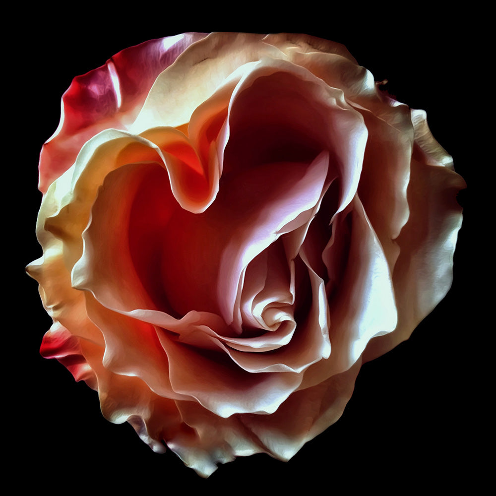 
            
                Load image into Gallery viewer, Heart Rose
            
        