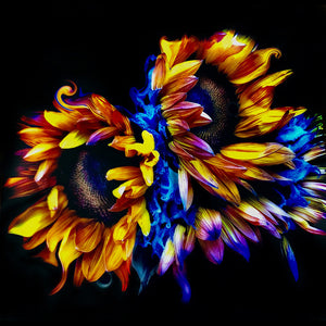 
            
                Load image into Gallery viewer, Sunflower Blues
            
        
